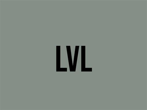 lv or lvl|lvl meaning.